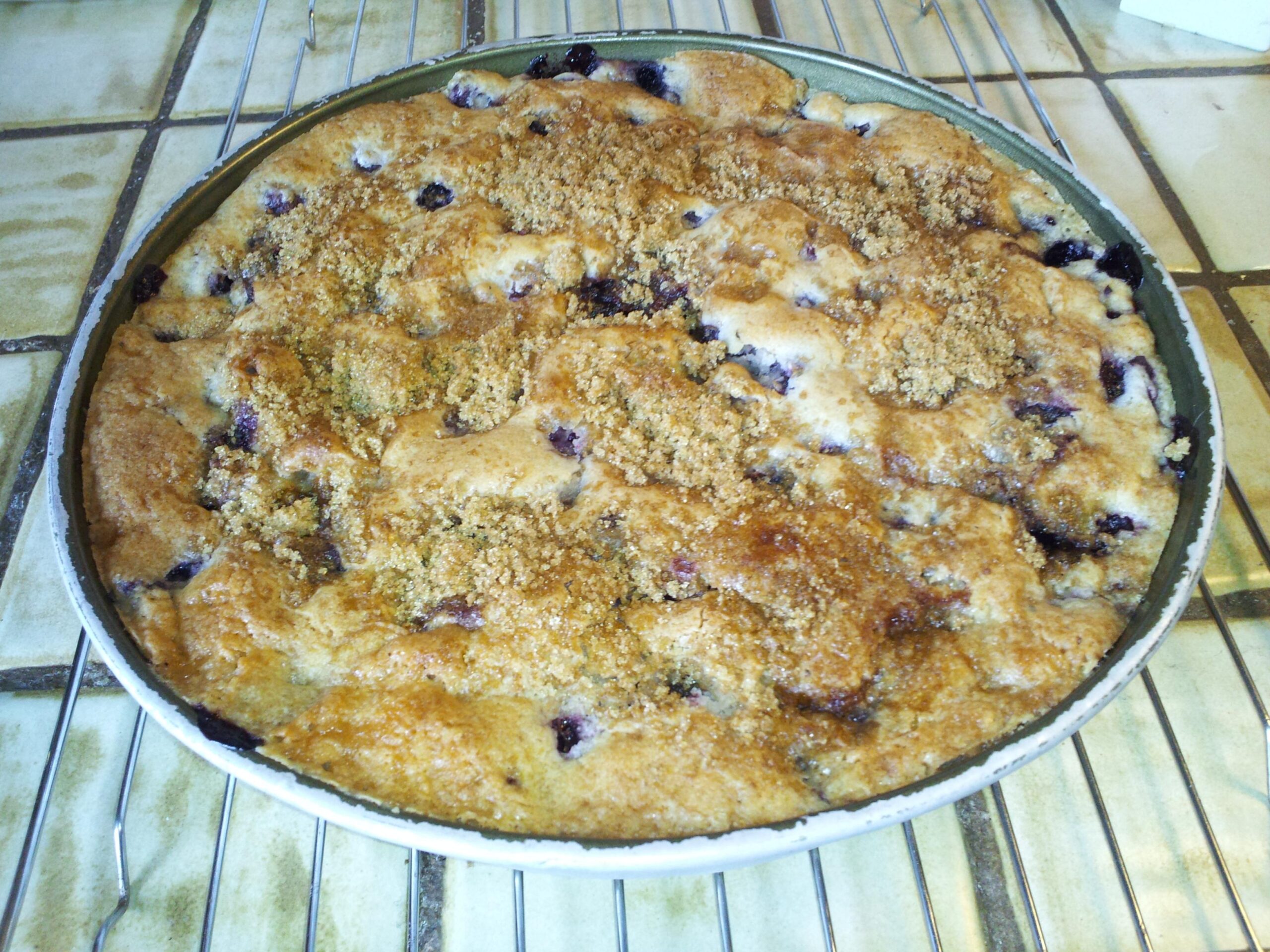 Low Fat Blueberry Coffee Cake